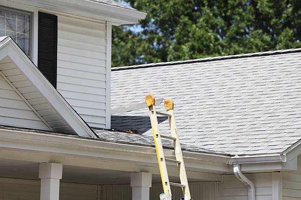 Best Steel Siding Installation  in Temperance, MI
