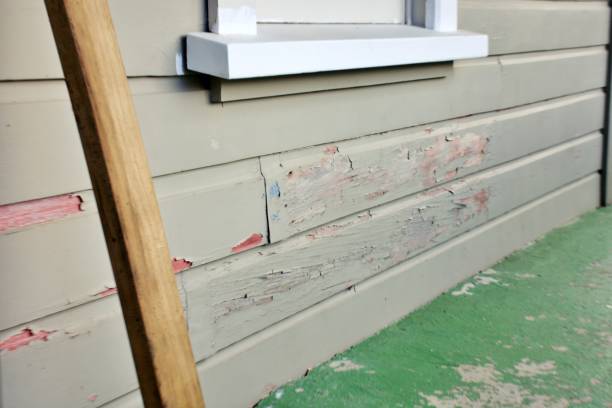 Storm Damage Siding Repair in Temperance, MI